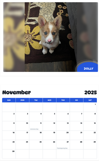 July 2025 - June 2026 Dolly - Pawidols Pet Calendar