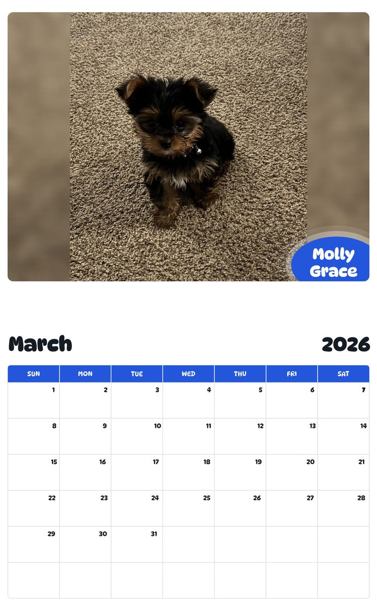 November 2025 - October 2026 Molly Grace - Pawidols Pet Calendar