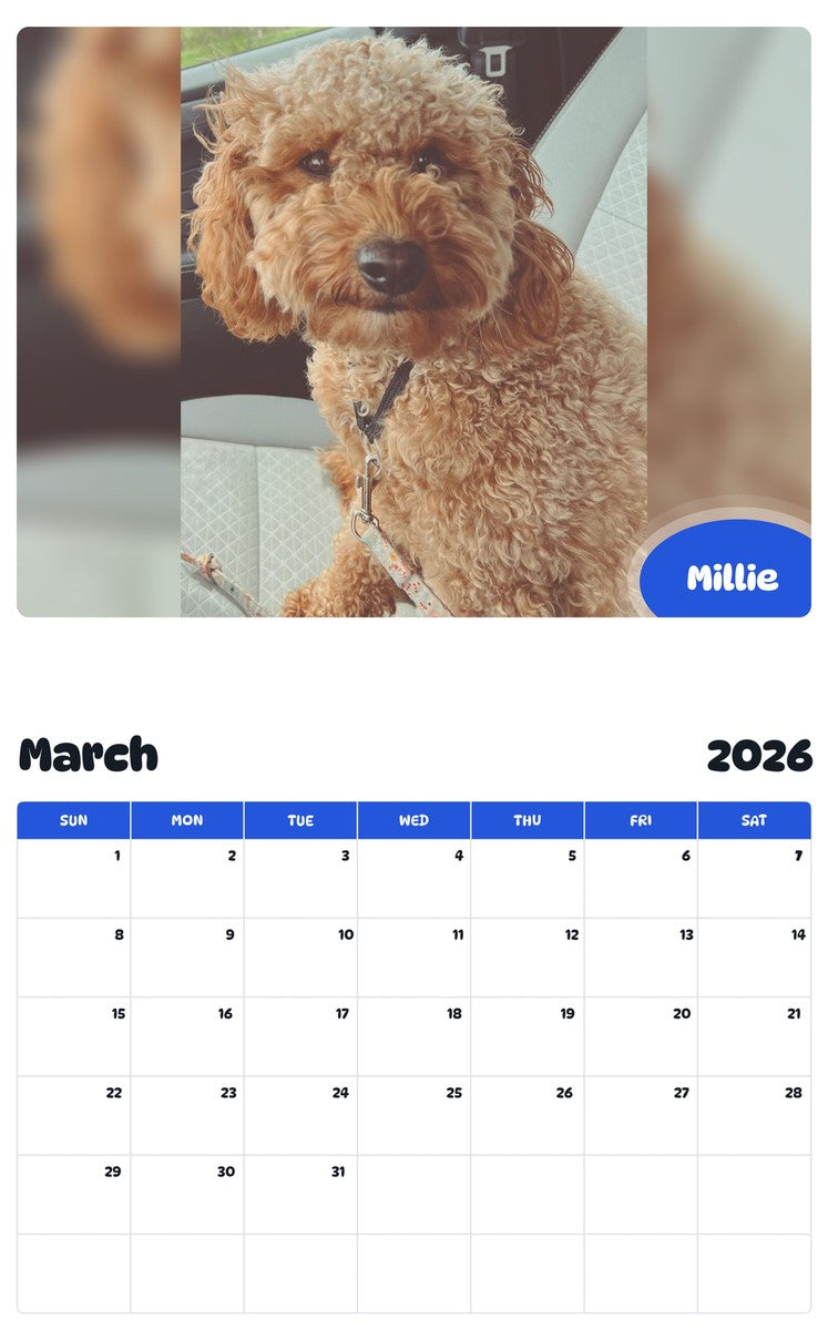 November 2025 - October 2026 Millie - Pawidols Pet Calendar