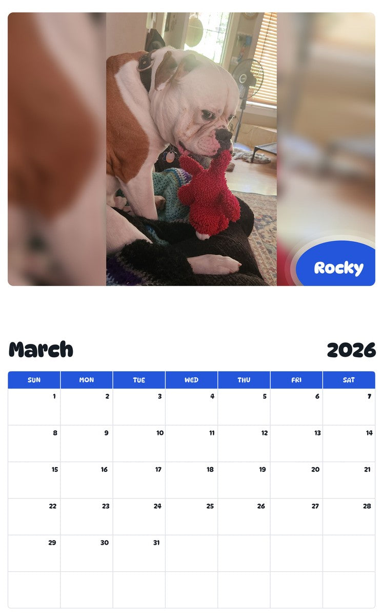 November 2025 - October 2026 Rocky - Pawidols Pet Calendar