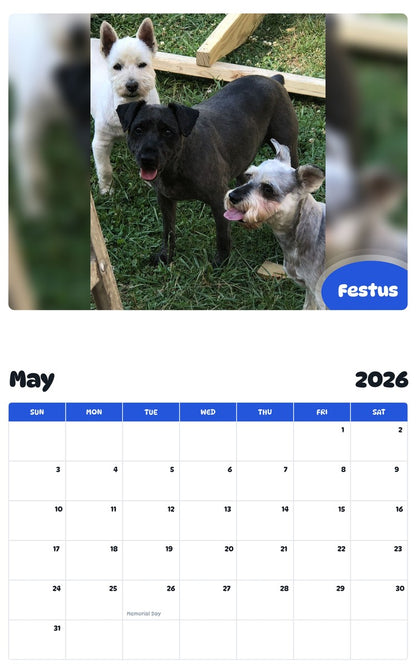 2026 - 2027 Festus - Pawidols Pet Calendar