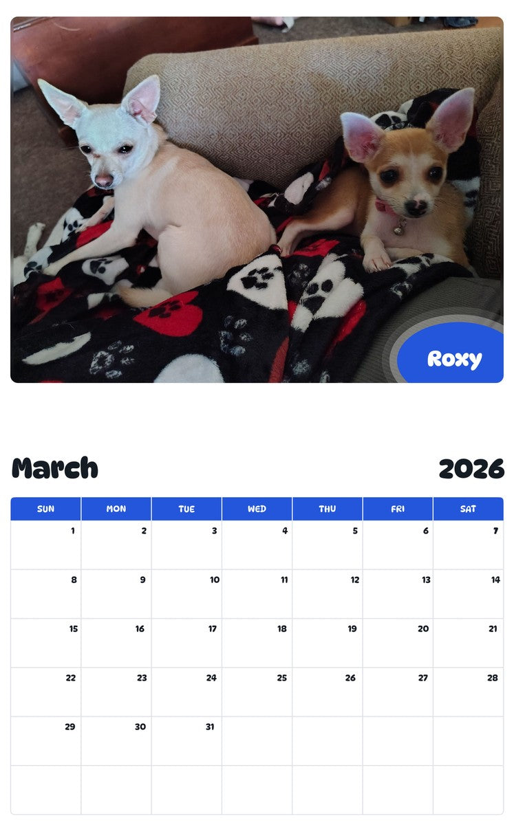 November 2025 - October 2026 Roxy - Pawidols Pet Calendar