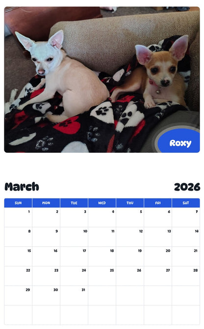 November 2025 - October 2026 Roxy - Pawidols Pet Calendar