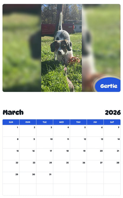 November 2025 - October 2026 Gertie - Pawidols Pet Calendar