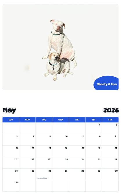 2026 - 2027 Shorty & Tom - Pawidols Pet Calendar