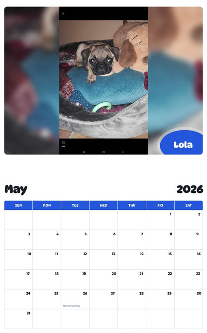 2026 - 2027 Lola - Pawidols Pet Calendar