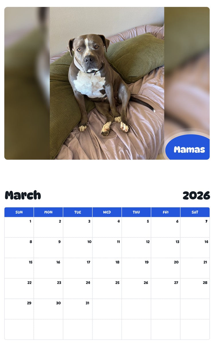 November 2025 - October 2026 Mamas - Pawidols Pet Calendar