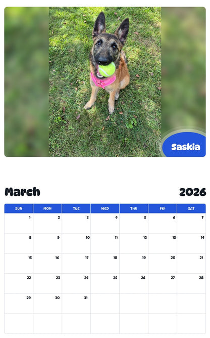 November 2025 - October 2026 Saskia - Pawidols Pet Calendar
