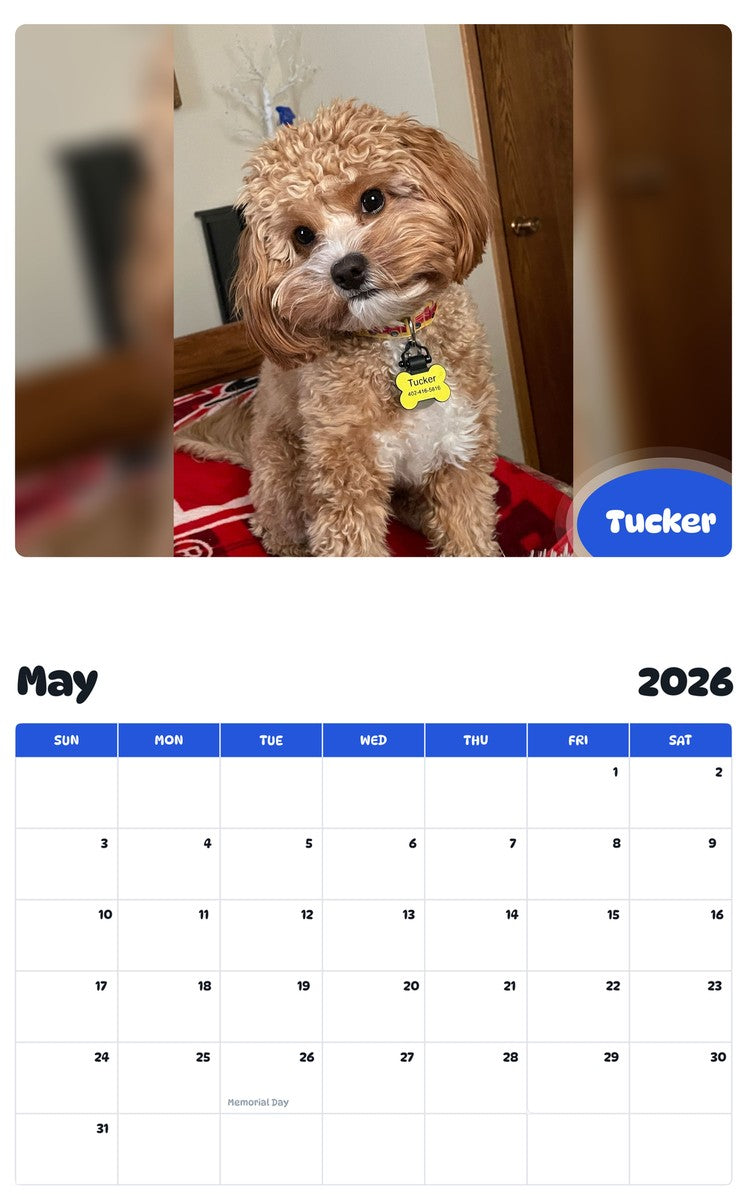 2026 - 2027 Tucker - Pawidols Pet Calendar