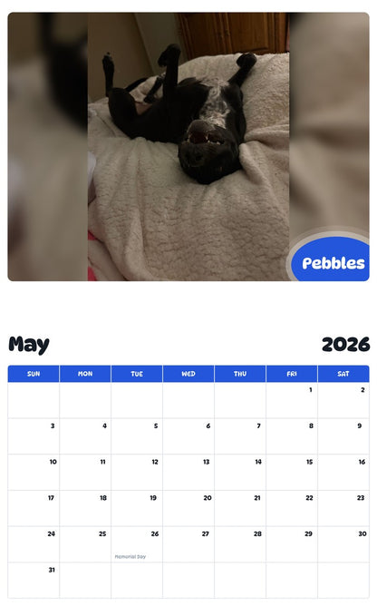 2026 - 2027 Pebbles - Pawidols Pet Calendar