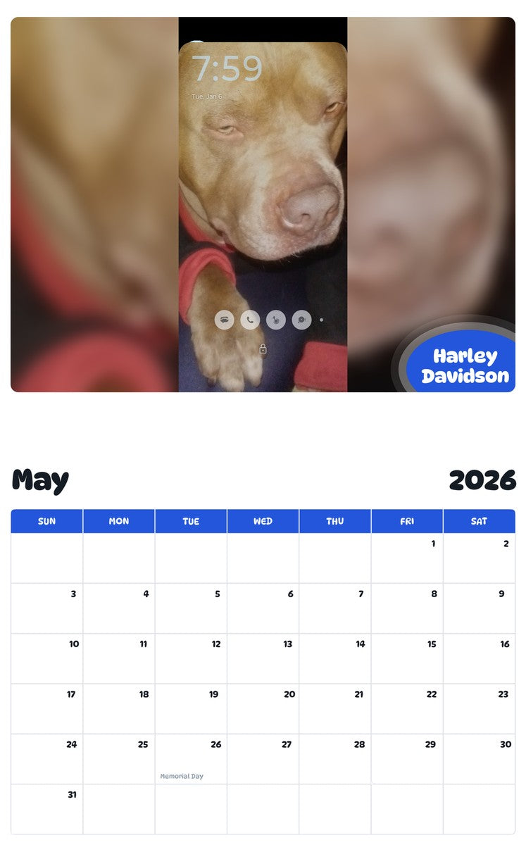2026 - 2027 Harley Davidson - Pawidols Pet Calendar
