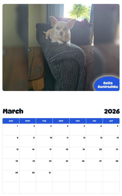 November 2025 - October 2026 Bella Benirschke - Pawidols Pet Calendar