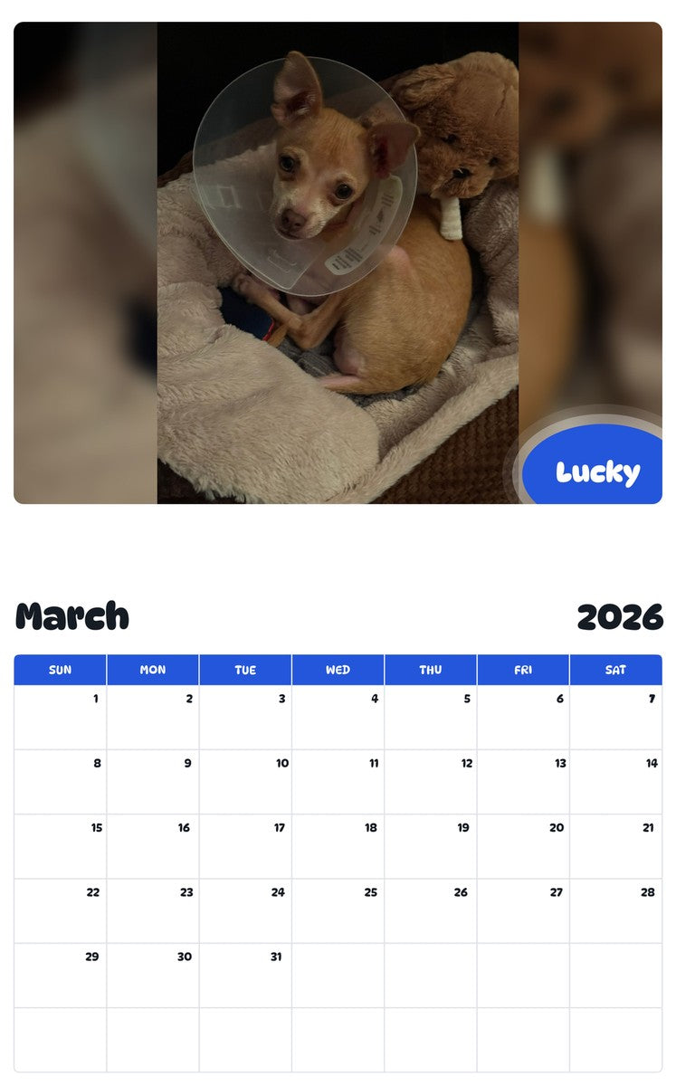November 2025 - October 2026 Lucky - Pawidols Pet Calendar
