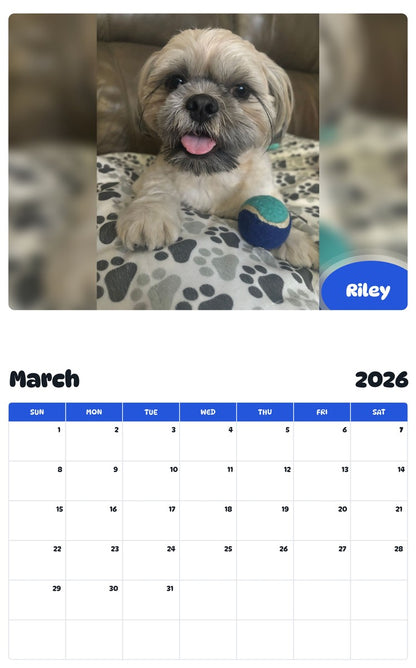 November 2025 - October 2026 Riley - Pawidols Pet Calendar