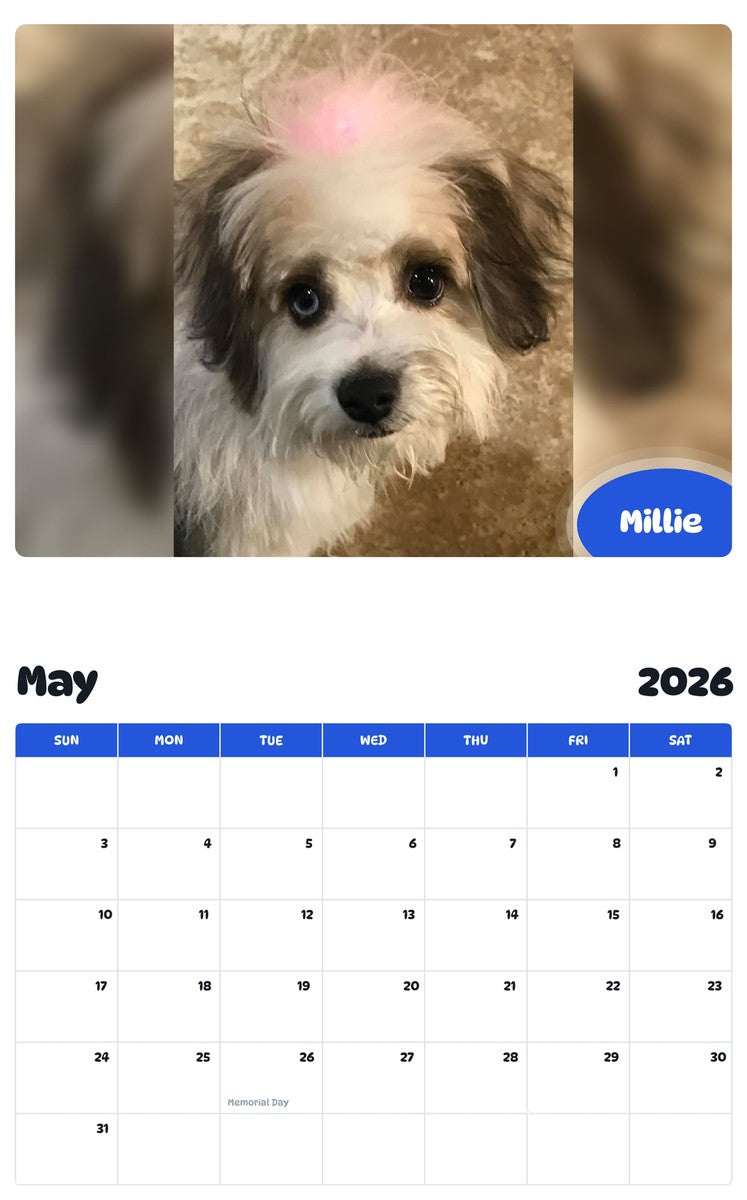 2026 - 2027 Millie - Pawidols Pet Calendar