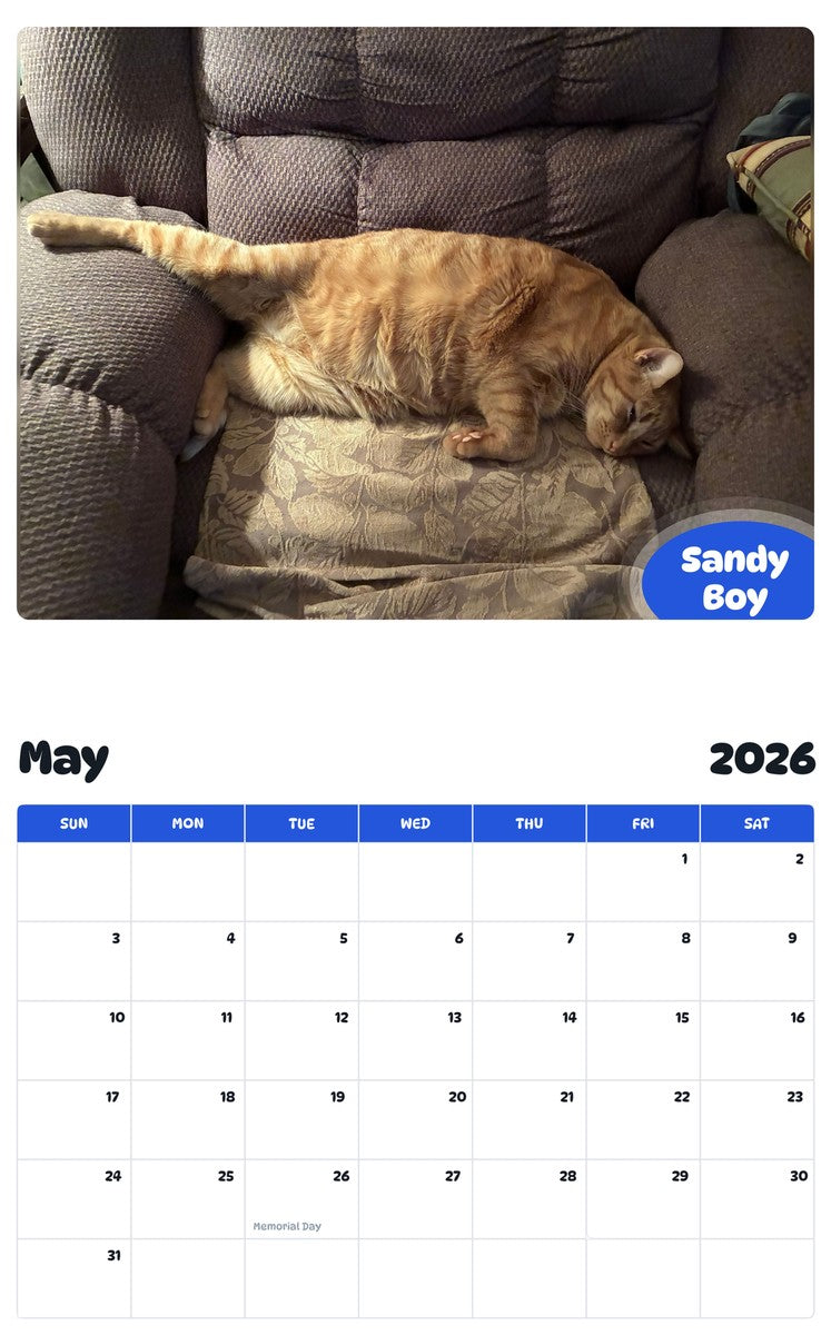 2026 - 2027 Sandy Boy - Pawidols Pet Calendar
