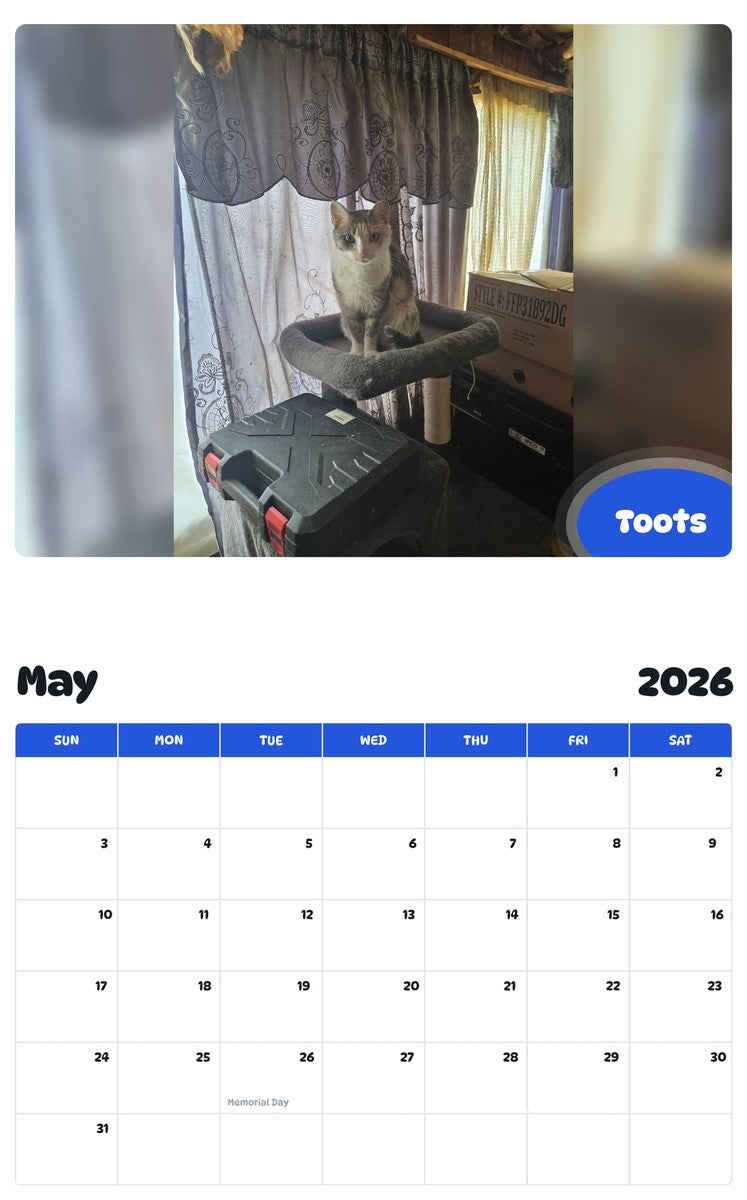 2026 - 2027 Toots - Pawidols Pet Calendar