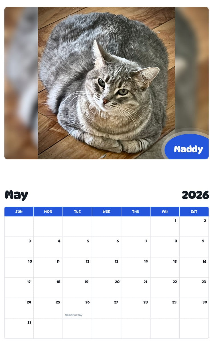 2026 - 2027 Maddy - Pawidols Pet Calendar