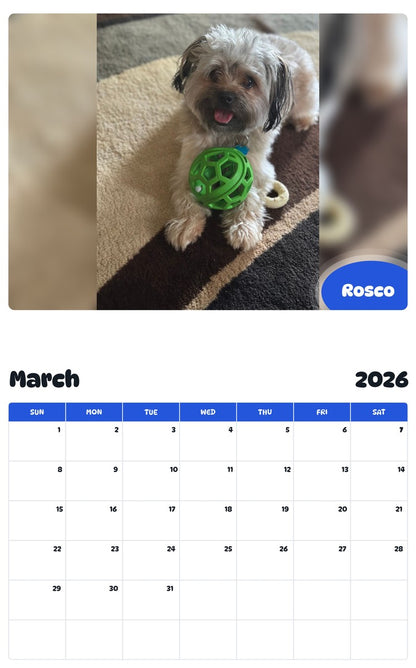 November 2025 - October 2026 Rosco - Pawidols Pet Calendar
