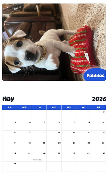 2026 - 2027 Pebbles - Pawidols Pet Calendar