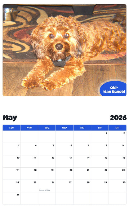 2026 - 2027 Obi-Wan Kenobi - Pawidols Pet Calendar