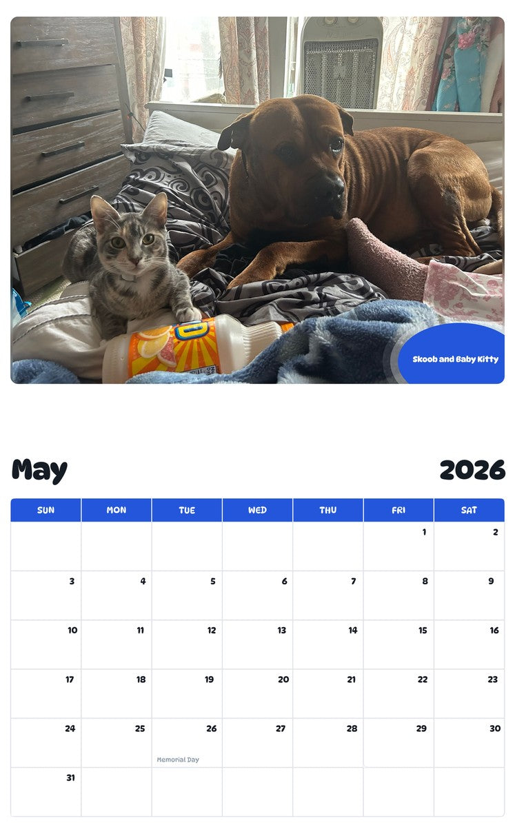 2026 - 2027 Skoob and Baby Kitty - Pawidols Pet Calendar