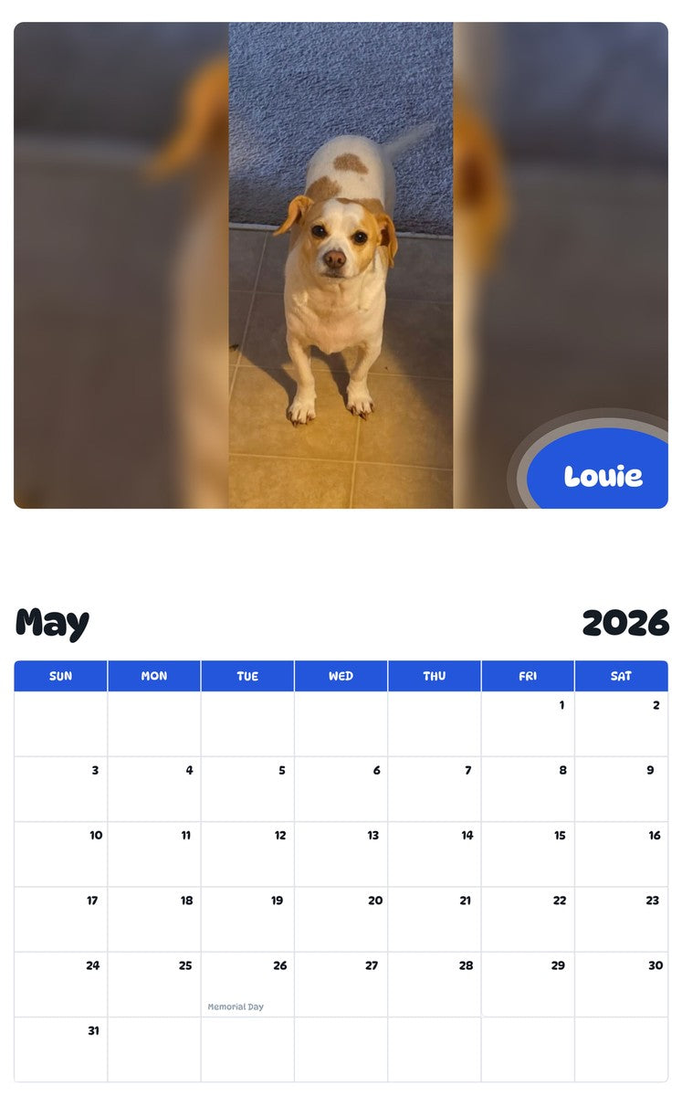 2026 - 2027 Louie - Pawidols Pet Calendar