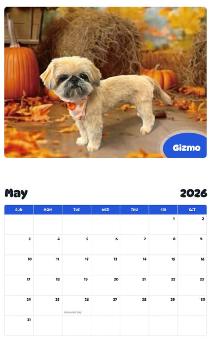 2026 - 2027 Gizmo - Pawidols Pet Calendar
