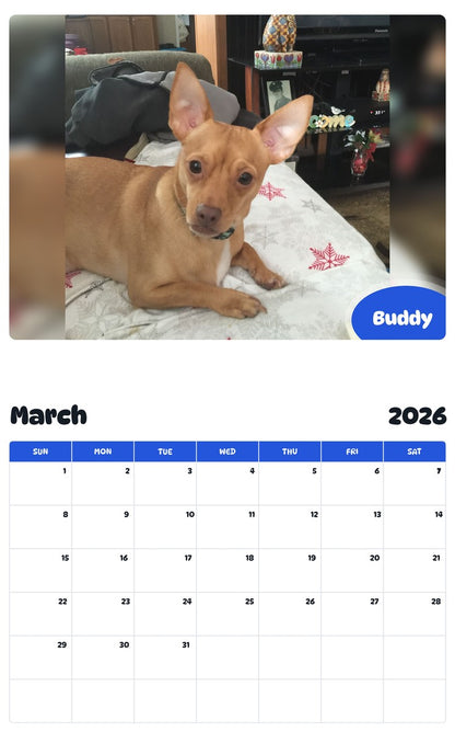 November 2025 - October 2026 Buddy - Pawidols Pet Calendar