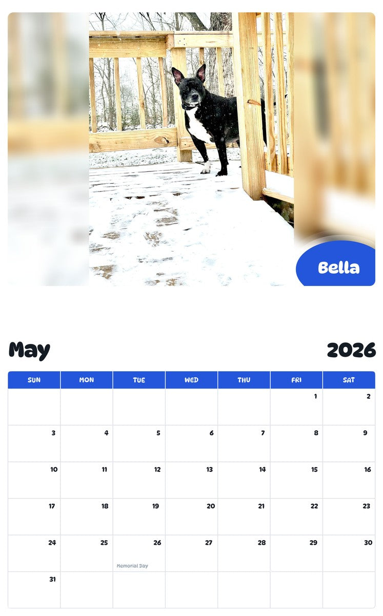 2026 - 2027 Bella - Pawidols Pet Calendar