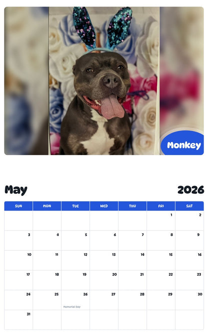 2026 - 2027 Monkey - Pawidols Pet Calendar