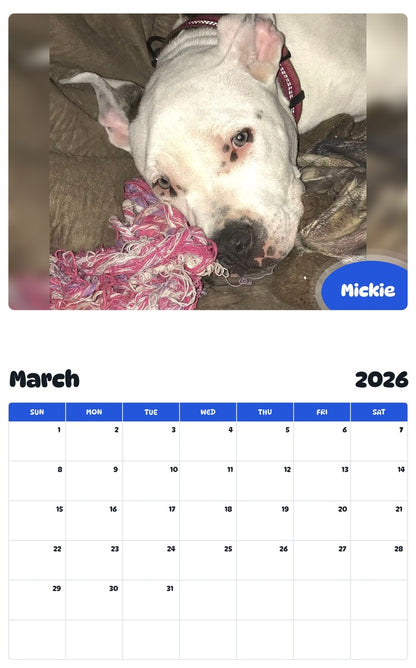 November 2025 - October 2026 Mickie - Pawidols Pet Calendar
