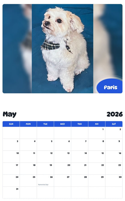 2026 - 2027 Paris - Pawidols Pet Calendar