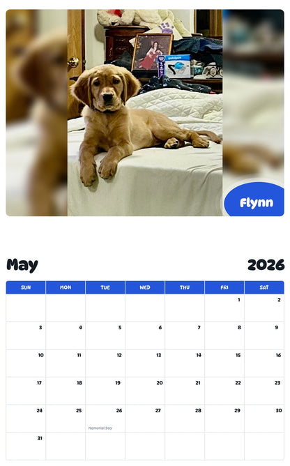 2026 - 2027 Flynn - Pawidols Pet Calendar