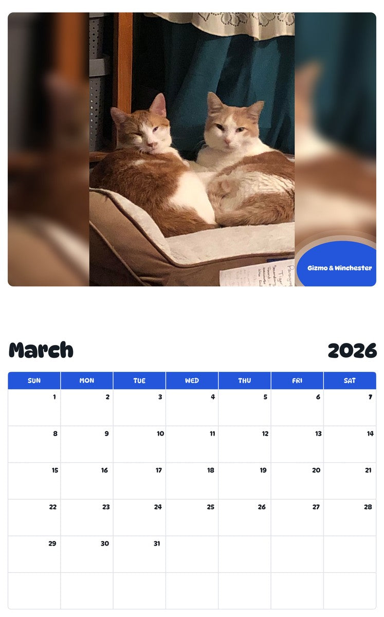 November 2025 - October 2026 Gizmo & Winchester - Pawidols Pet Calendar
