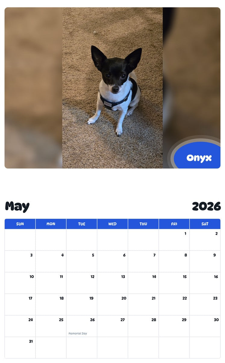 2026 - 2027 Onyx - Pawidols Pet Calendar