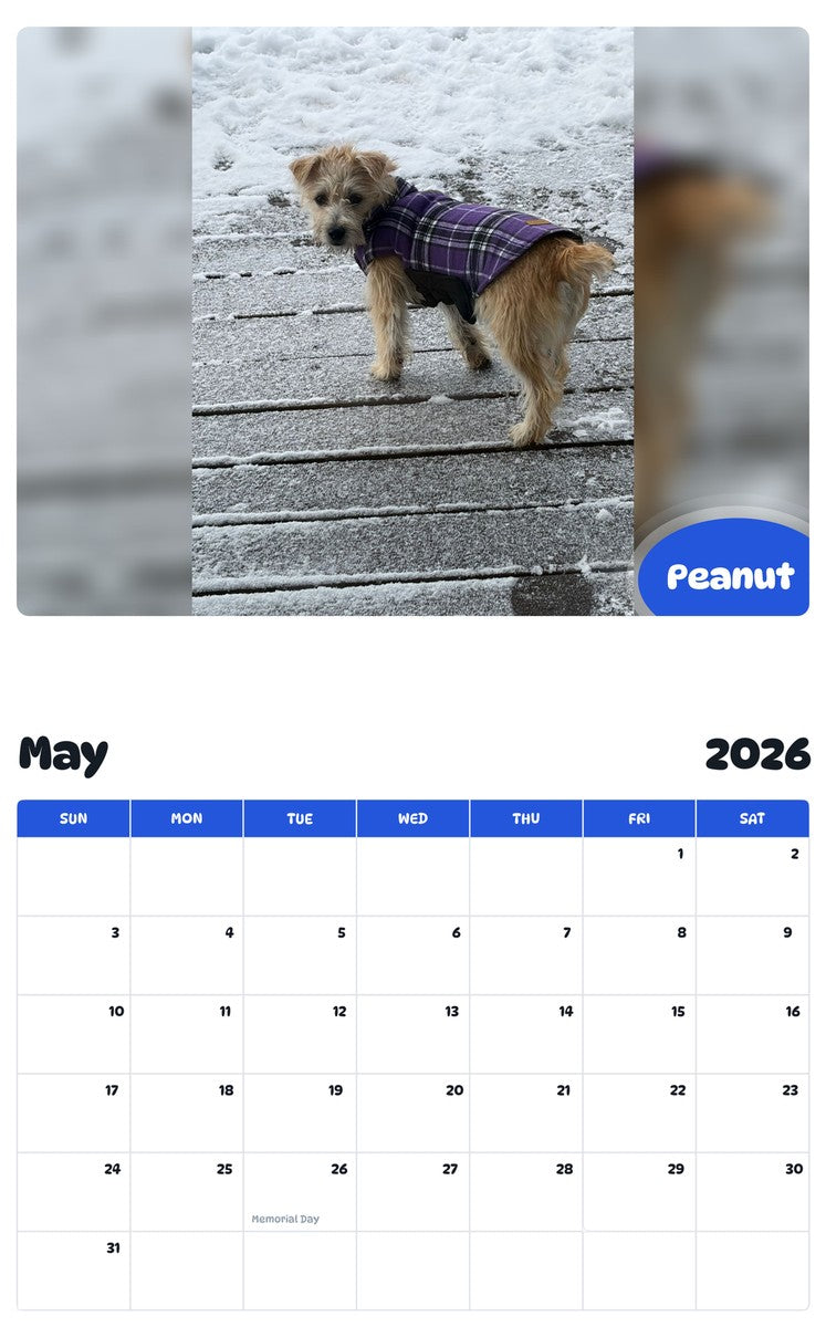 2026 - 2027 Peanut - Pawidols Pet Calendar