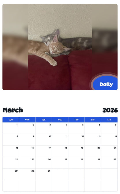 November 2025 - October 2026 Dolly - Pawidols Pet Calendar