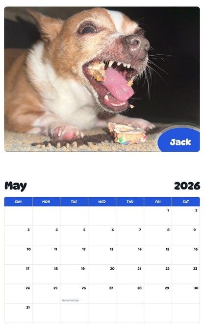 2026 - 2027 Jack - Pawidols Pet Calendar