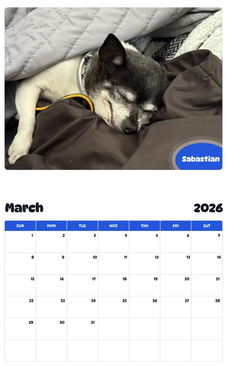November 2025 - October 2026 Sabastian - Pawidols Pet Calendar