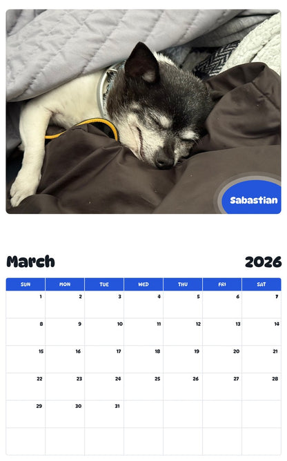 November 2025 - October 2026 Sabastian - Pawidols Pet Calendar