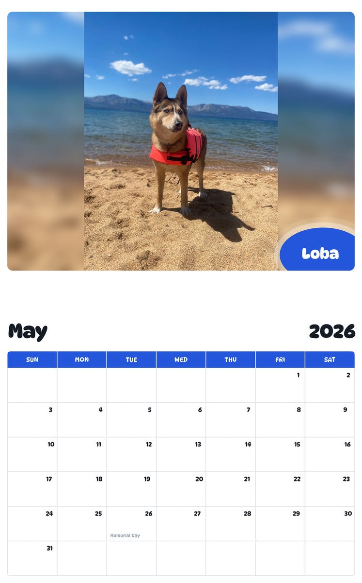 2026 - 2027 Loba - Pawidols Pet Calendar