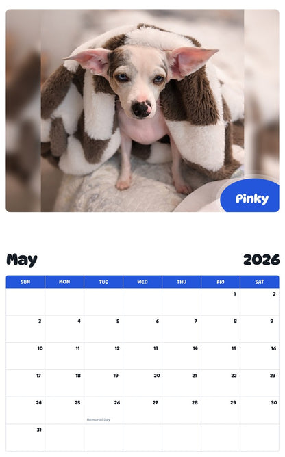 2026 - 2027 Pinky - Pawidols Pet Calendar