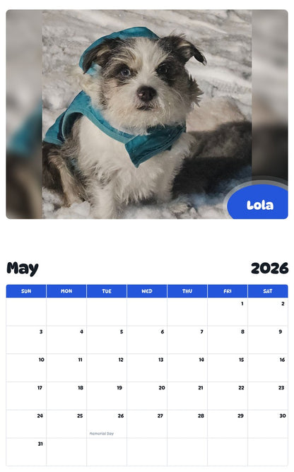2026 - 2027 Lola - Pawidols Pet Calendar