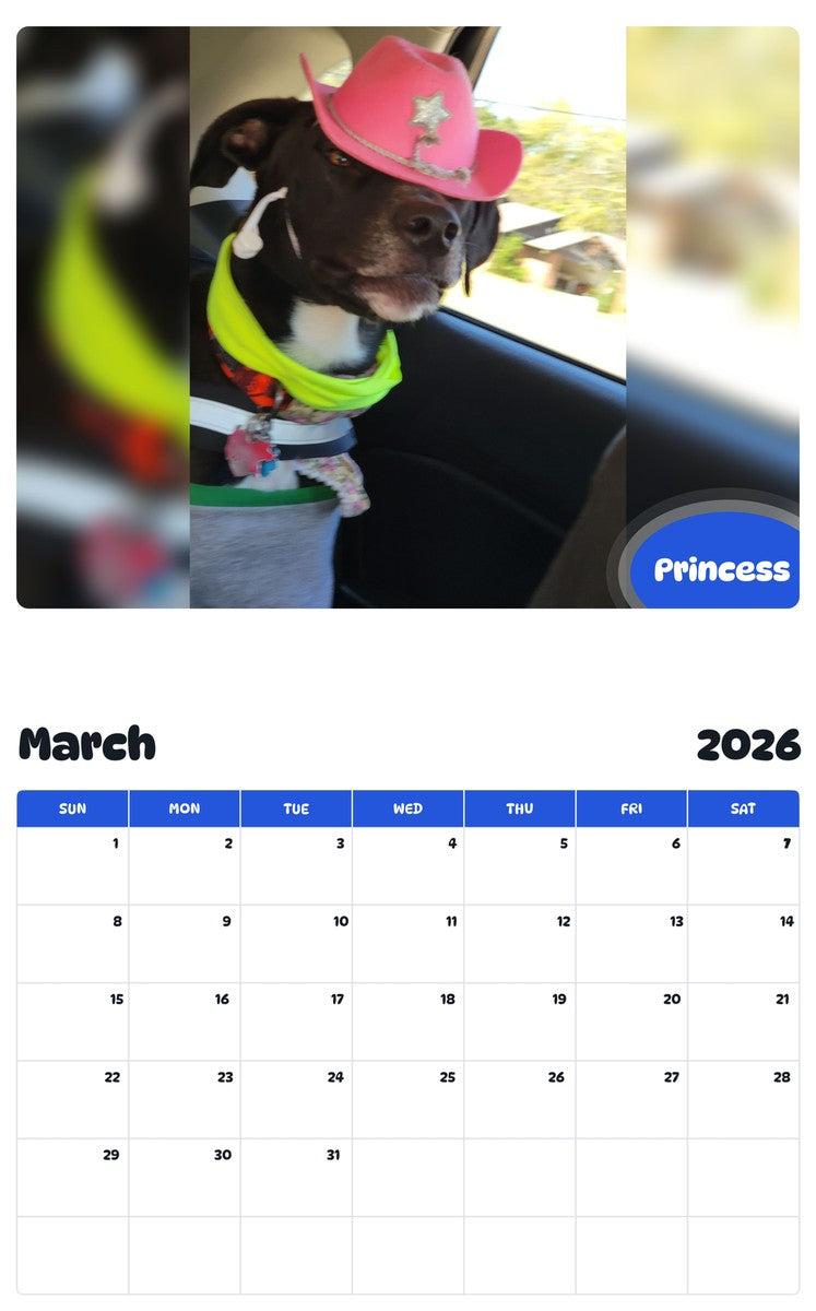 November 2025 - October 2026 Princess - Pawidols Pet Calendar