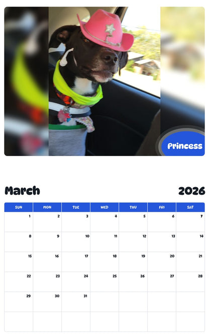 November 2025 - October 2026 Princess - Pawidols Pet Calendar