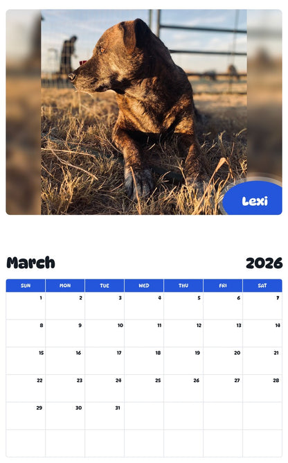 November 2025 - October 2026 Lexi - Pawidols Pet Calendar