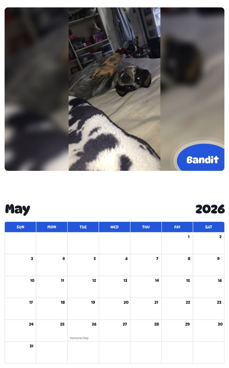 2026 - 2027 Bandit - Pawidols Pet Calendar