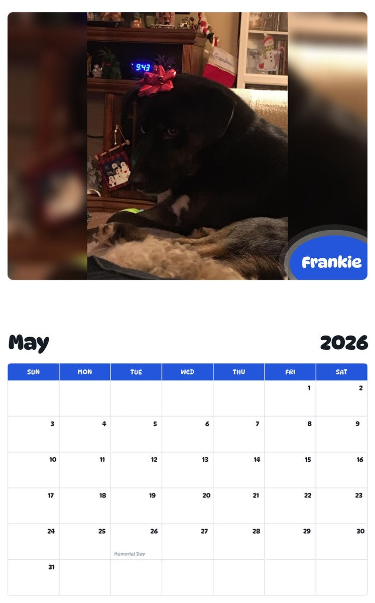 2026 - 2027 Frankie - Pawidols Pet Calendar
