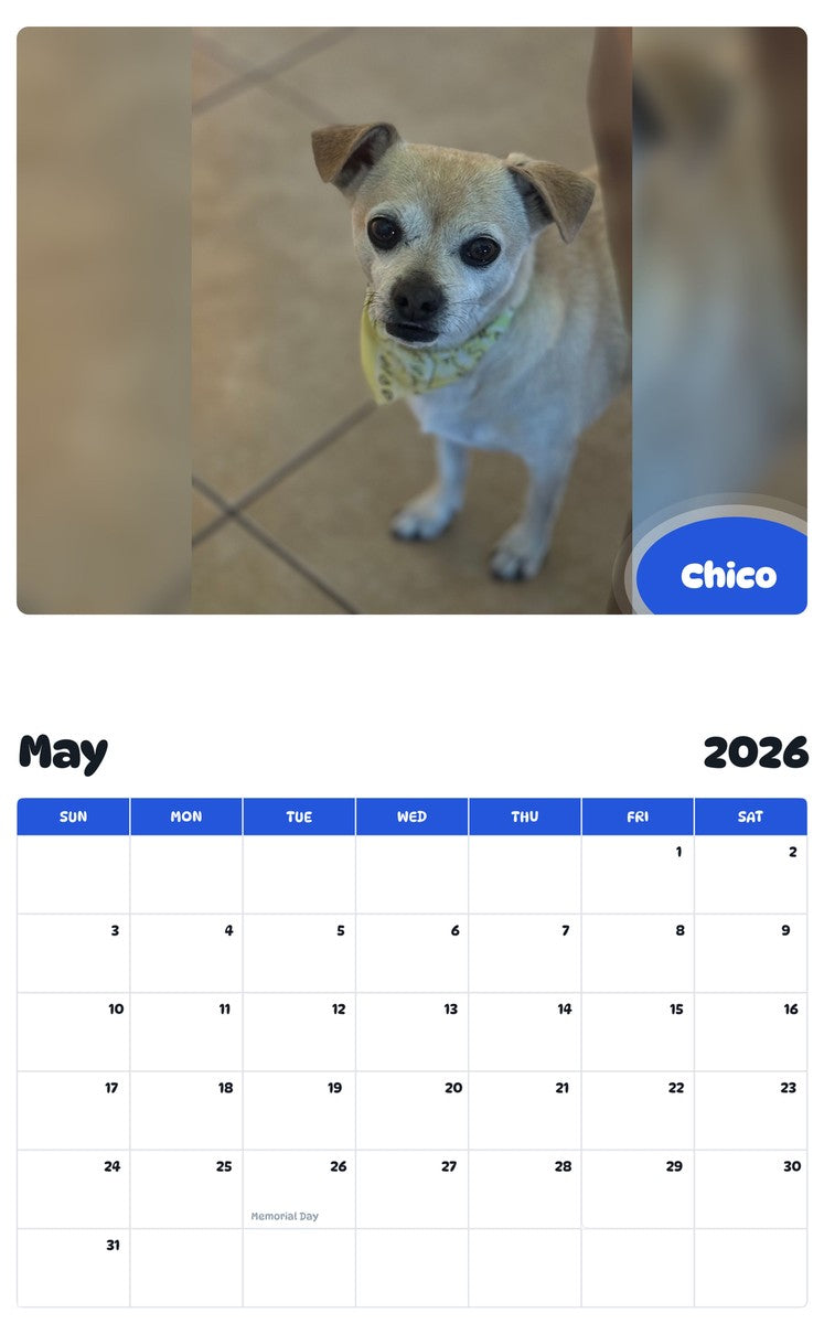 2026 - 2027 Chico - Pawidols Pet Calendar
